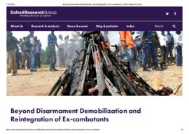 Beyond_Disarmament_Demobilization_and_Reintegration_of_Ex-combatants.pdf